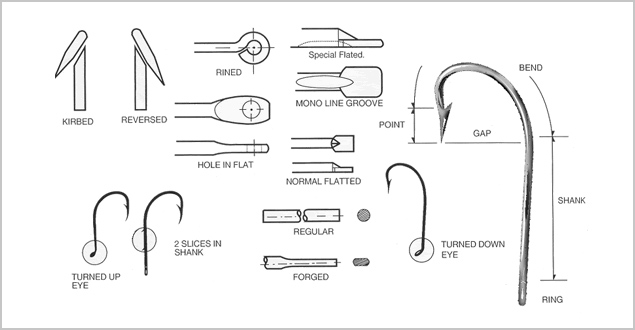 TERMINOLOGY